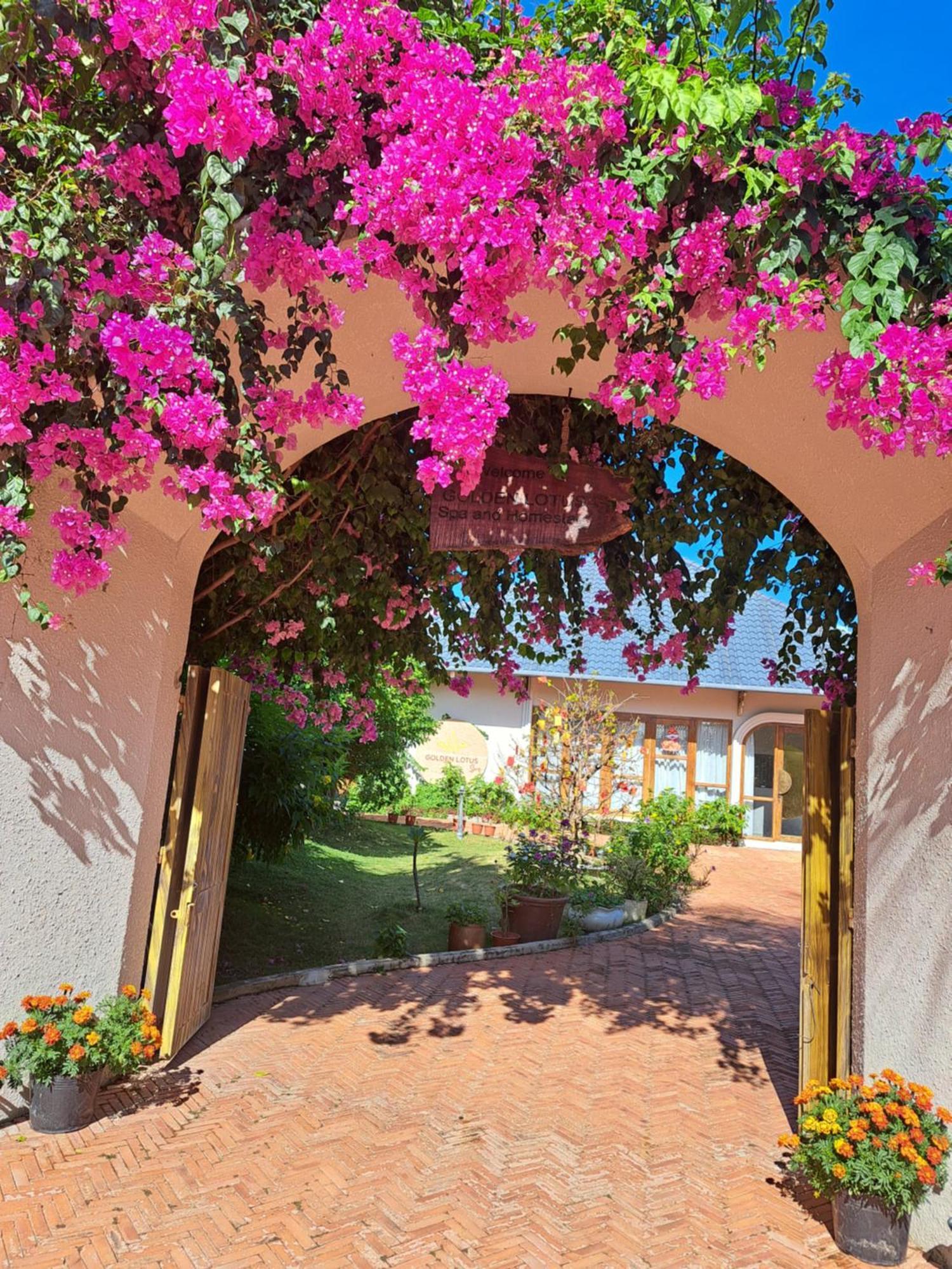 Golden Lotus Spa & Homestay Ap Thien Phuoc Εξωτερικό φωτογραφία