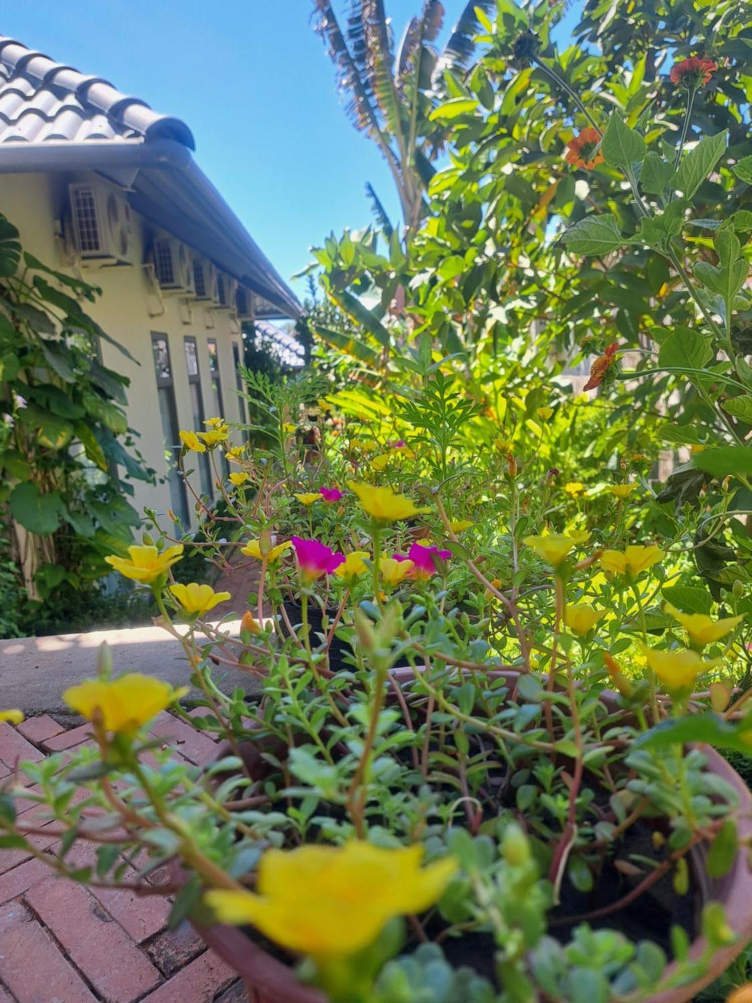Golden Lotus Spa & Homestay Ap Thien Phuoc Εξωτερικό φωτογραφία