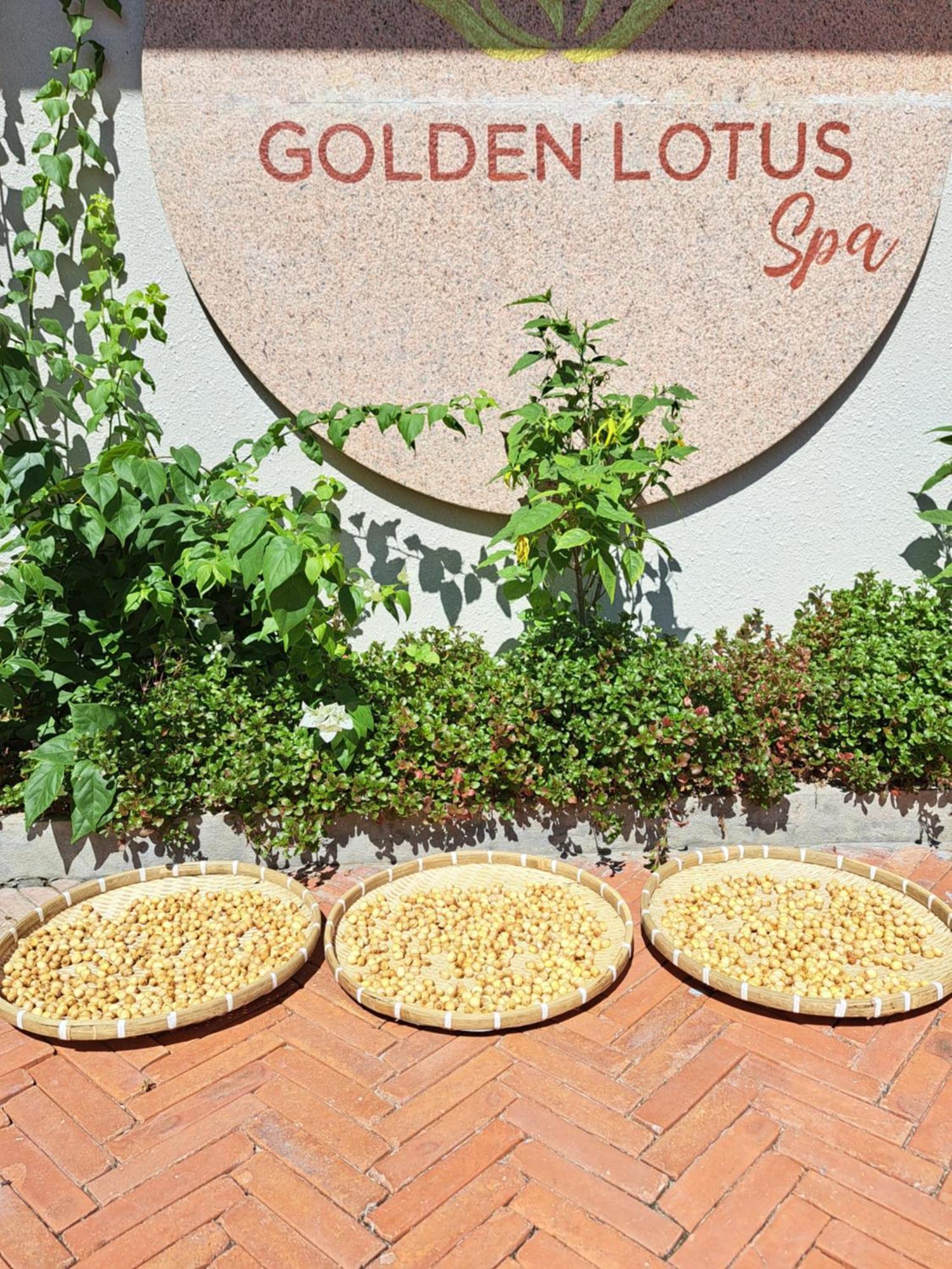 Golden Lotus Spa & Homestay Ap Thien Phuoc Εξωτερικό φωτογραφία